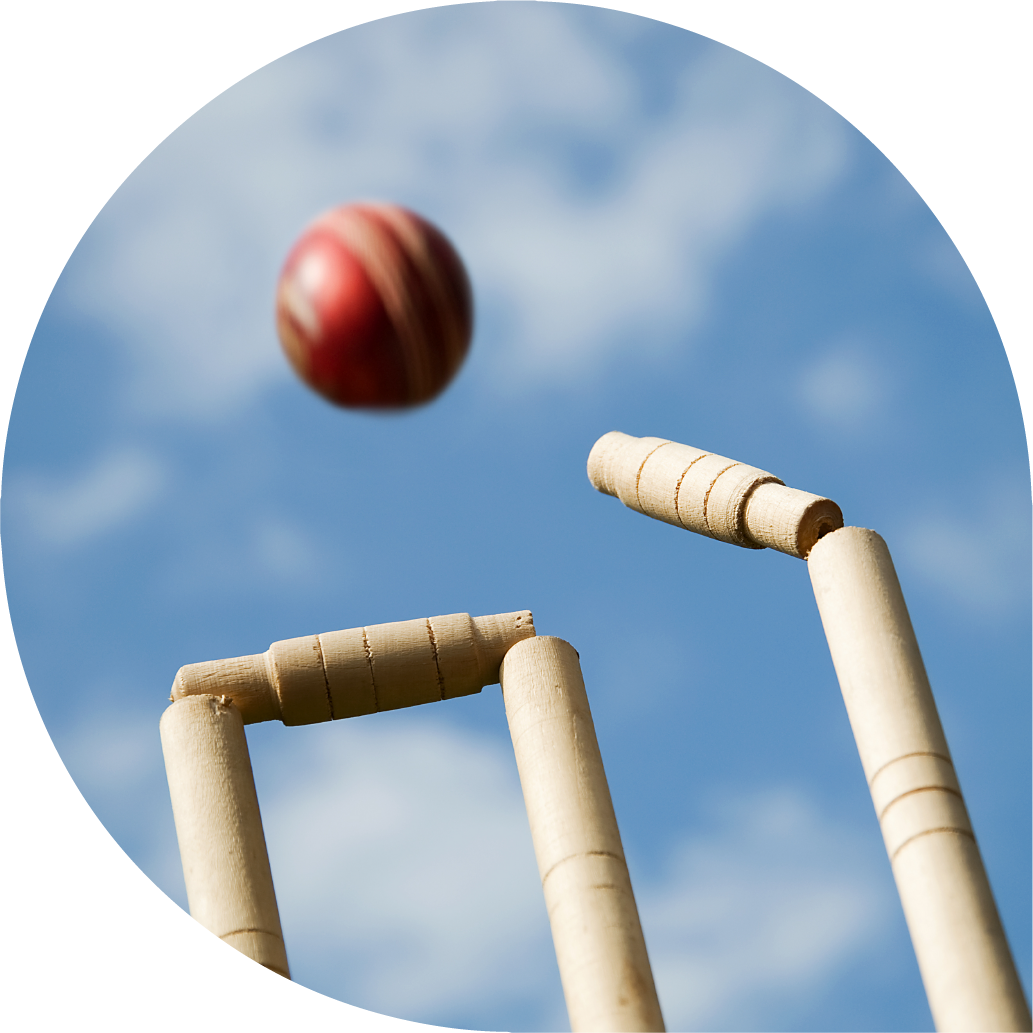 Cricket