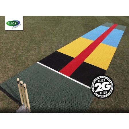 Flicx Eagle Eyed Pitch - Batting End