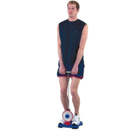 Back and Leg Dynamometer
