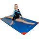 Sure Shot Standard Gym Mat