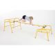 Gym Time Cat Ladder