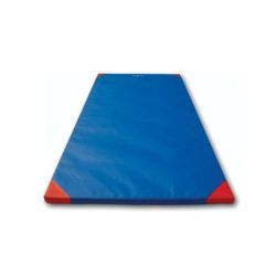 Sure Shot Lightweight Gym Mat