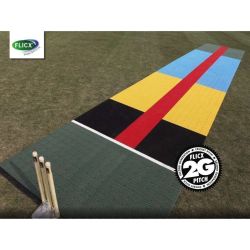 Flicx Eagle Eyed Pitch - Batting End