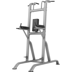 Jordan Chin/Dip/Knee Power Tower